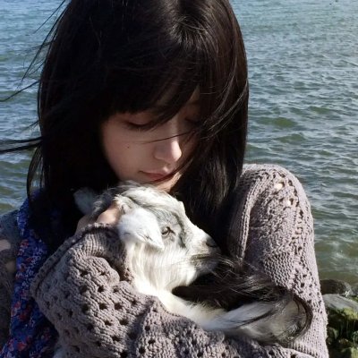 呼救无门 封面