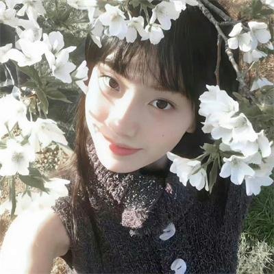 谜情家族国语 封面