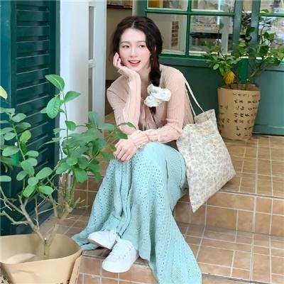 小夜莺 封面